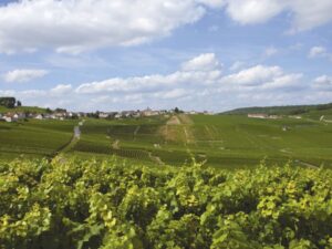 Hostellerie du Mont Aimé & des Dames de Champagne Hostellerie du Mont Aimé & des Dames de Champagne