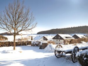 Hotel H+ Willingen Hotel H+ Willingen