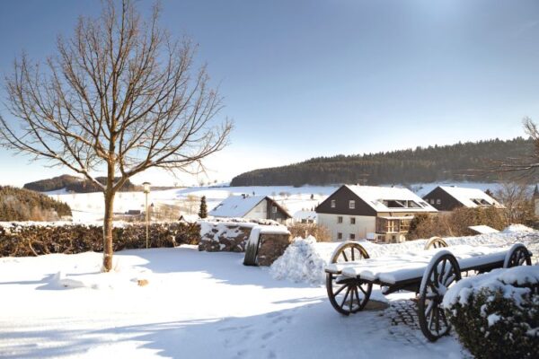Hotel H+ Willingen