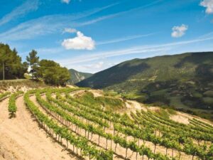Hotel Les Oliviers & Spa Hotel Les Oliviers & Spa