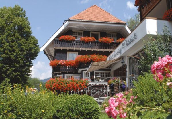 Hotel Waldeck Hotel Waldeck